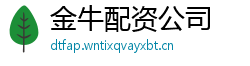 金牛配资公司